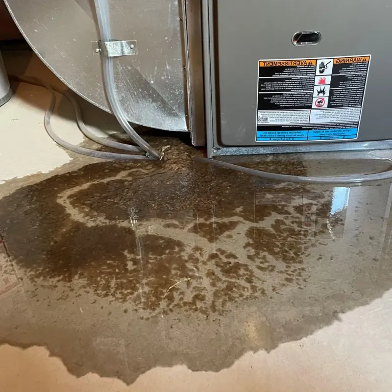Pipe Burst and Leak Restoration in Jamaica Plain, MA